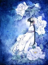 雪域龙神江朝天王冬青